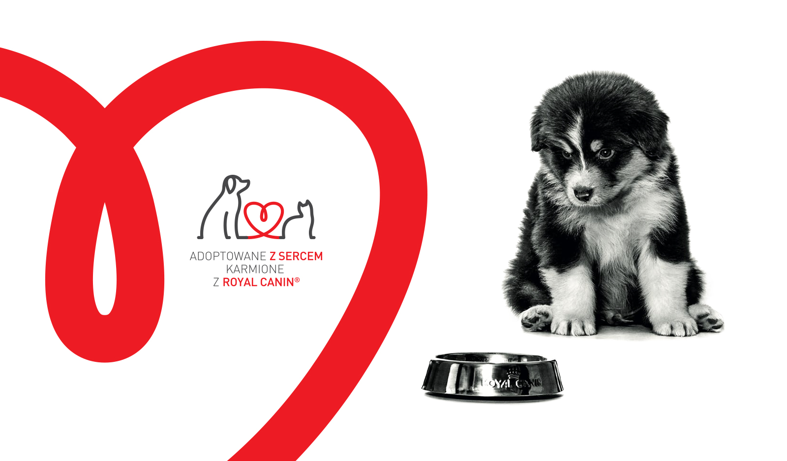 Adopted to be loved, fed with Royal Canin®